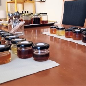 Honey Tasting Experience