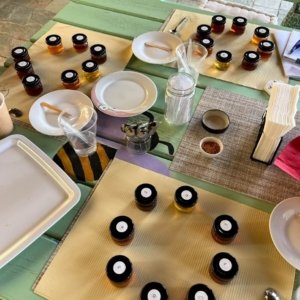 Honey tasting & Hive visit