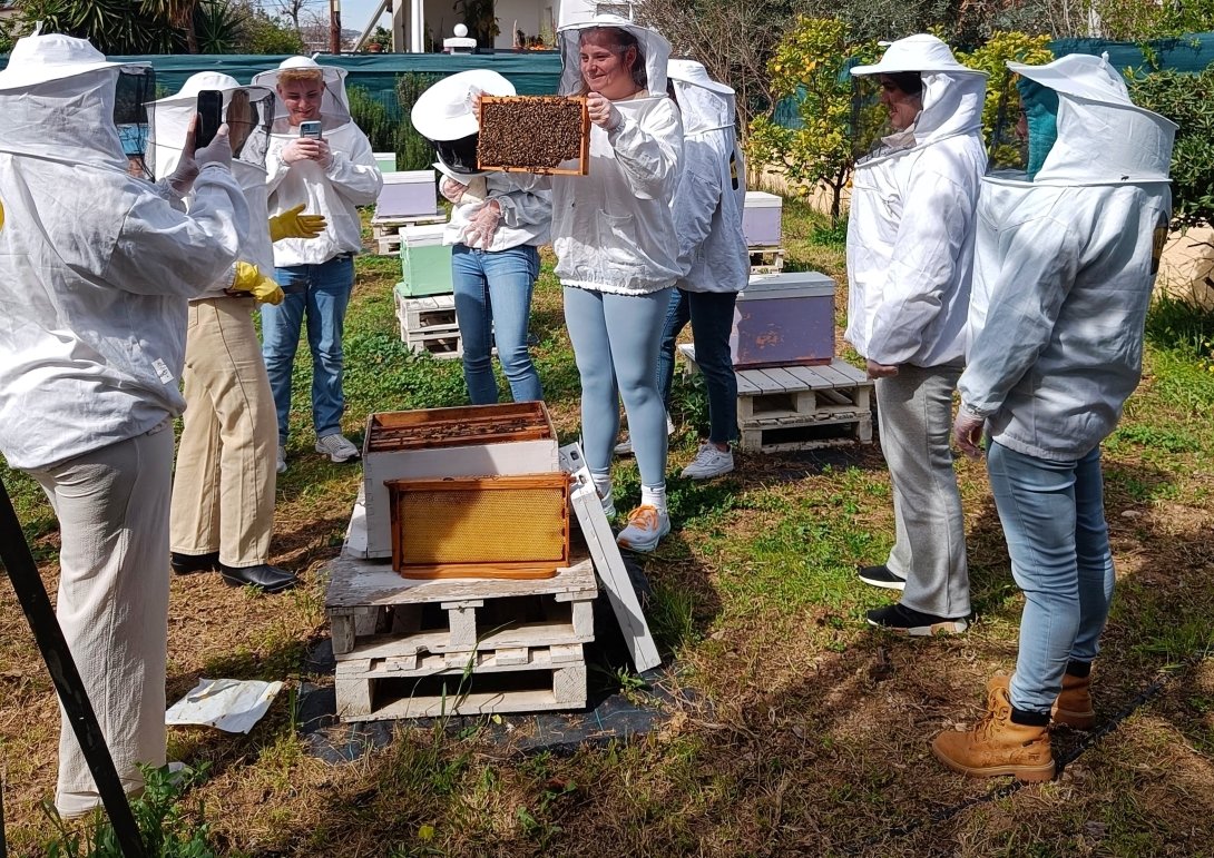 Beekeeping Experience