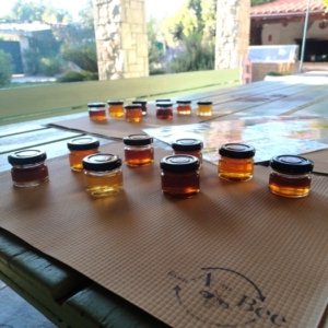 Γευσιγνωσία Μελιού